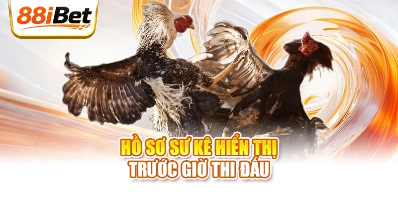 Hồ sơ sư kê hiển thị trước giờ thi đấu