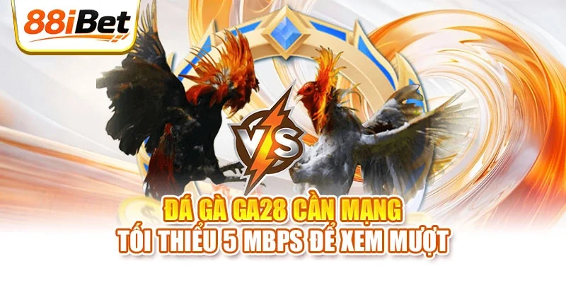 Đá gà GA28 cần mạng tối thiểu 5 Mbps để xem mượt
