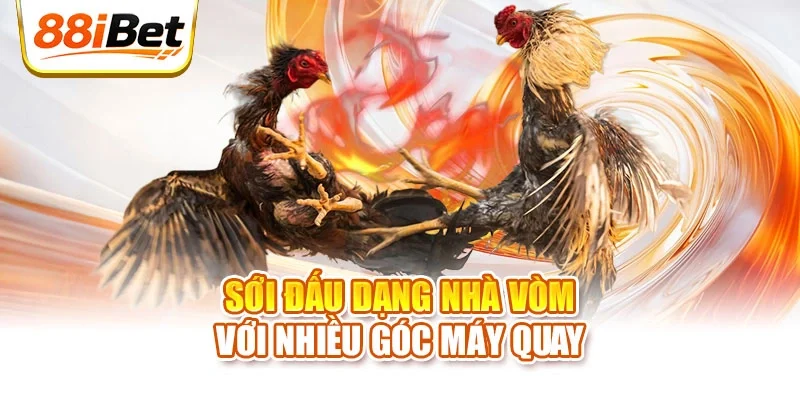 Sới đấu dạng nhà vòm với nhiều góc máy quay